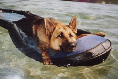 de la Grotte d'Ouvea - http://www.lebergerallemand.fr/plages-autorisees-aux-chiens.html