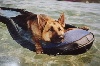  - http://www.lebergerallemand.fr/plages-autorisees-aux-chiens.html