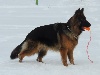  - bonne neige à GOURDON et le pain d'épice EXELLENT !!!