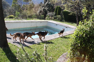 de la Grotte d'Ouvea - nos weekends!!!voila on a prepare la piscine chez nos amis 