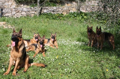 de la Grotte d'Ouvea - première chaleur!.....Photo de famille 